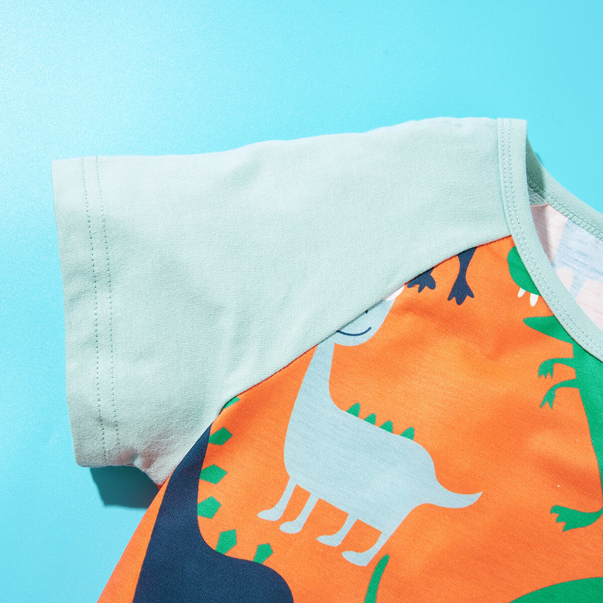 Boys Dinosaur Print Raglan Sleeve T-Shirt and Shorts Set