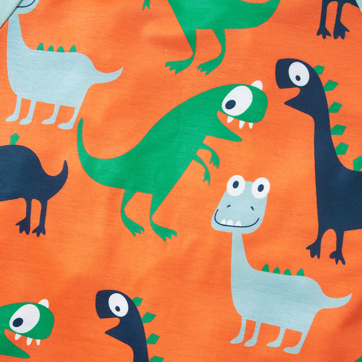 Boys Dinosaur Print Raglan Sleeve T-Shirt and Shorts Set